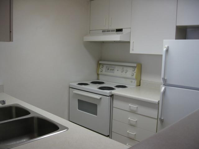 Two Bedroom Apartment for rent near New West Skytrain Station in Long Term Rentals in Burnaby/New Westminster - Image 3