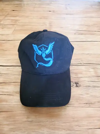 Pokemon Go Team Mystic Hat, View more