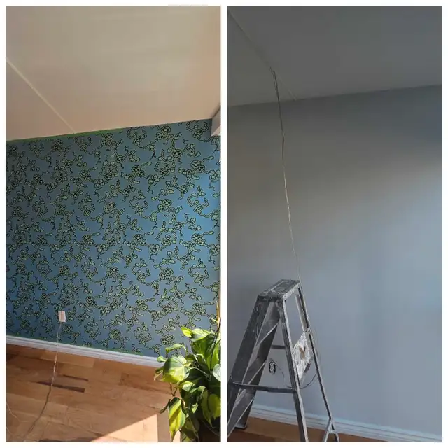 Professional Painting Services by Ray – Union Certified63362357054849122