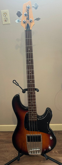 Ibanez ATK 100