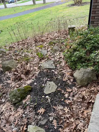Garden Rocks, View more