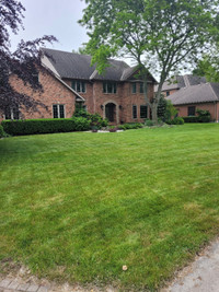 Complete lawn care