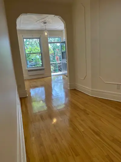 Plateau, rue Fabre (près de Laurier), magnifique 4 1/2, 3e étage, vue sur la montagne et le centre-v...