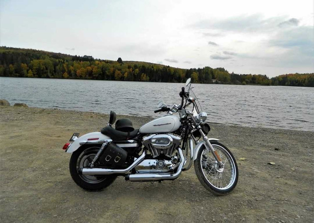 2007 Harley Sportster 1200XL in Sport Touring in Fredericton - Image 2