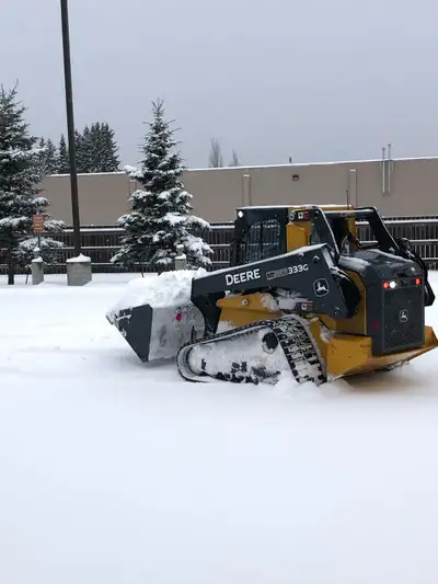 Snow removal and Lawn care business for sale, View more