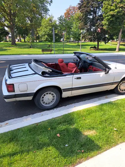White Ford Mustang LX Convertible with Sport Trim and Burgundy cloth interior. Power steering, power...