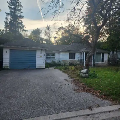 Charming cottage style 2/3room house nested in a dead end street filled with mature trees. Located c...