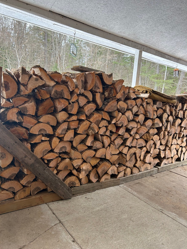 Firewood  in Fireplace & Firewood in Muskoka - Image 2