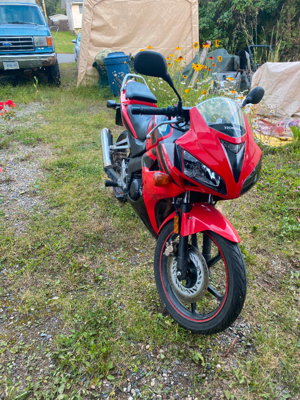FOR SALE in Street, Cruisers & Choppers in Quesnel - Image 3