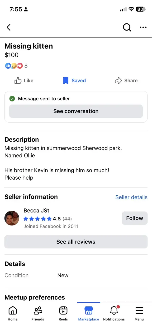 Beautiful Lost Kitten— Needs to Get Home in Lost & Found in Edmonton - Image 3