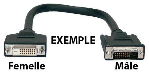 Cable DVI Male to DVI Femelle dans Câbles et connecteurs  à Longueuil/Rive Sud - Image 2