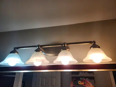 Want to give your washroom and a nice, elegant new face-lift? I have a vanity light, 2 flush mount l...