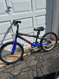 Bicycle : Blue, 20 inch wheels