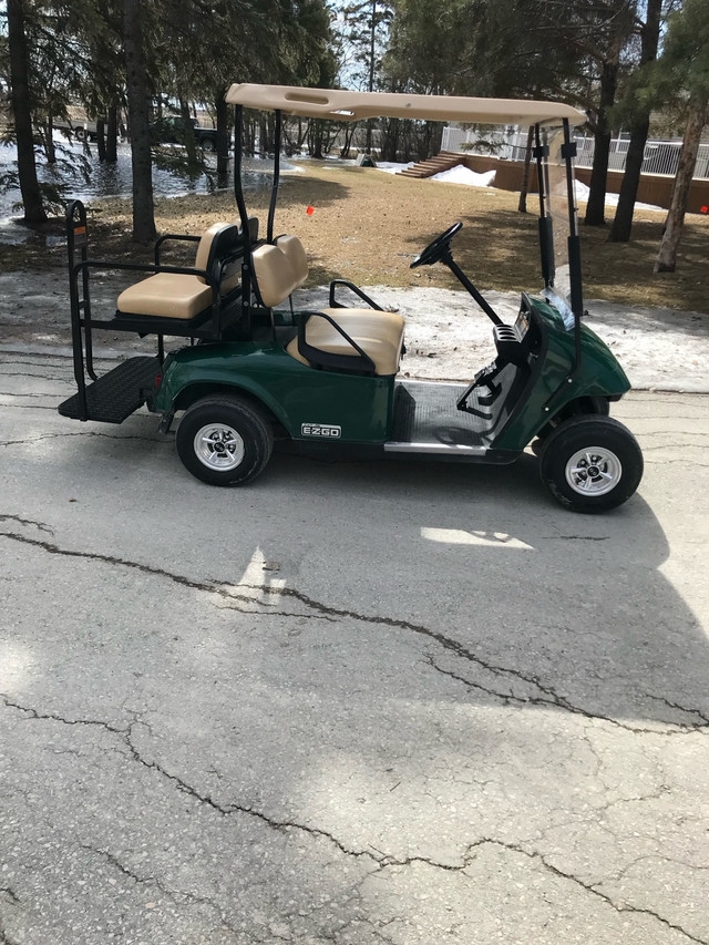 Golf Carts in Other in Winnipeg - Image 2