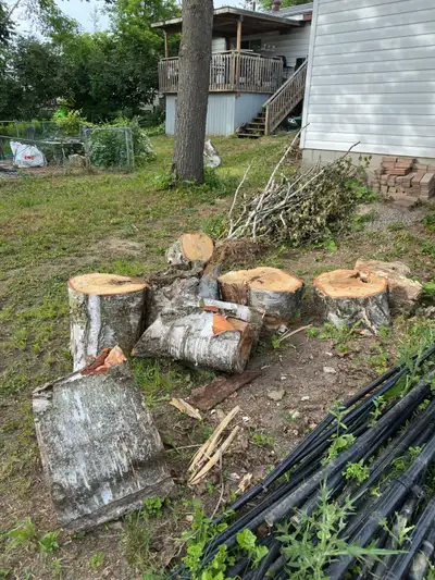 free wood, View more