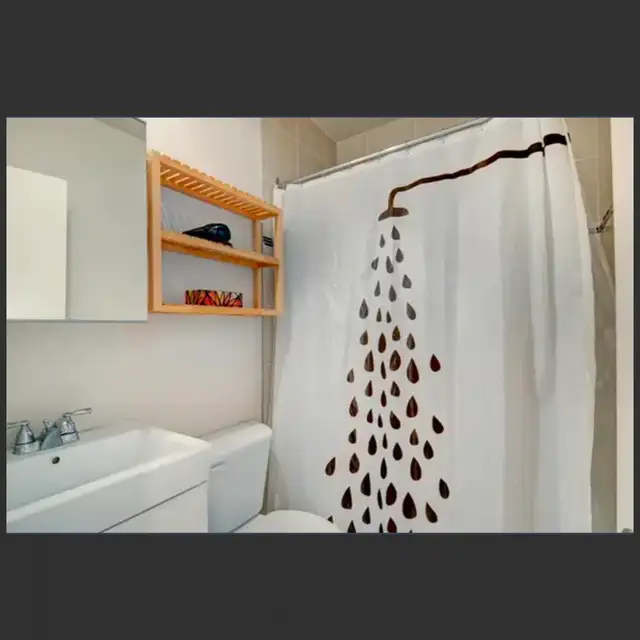 charmant studio situé rue saint jean in Long Term Rentals in Québec City - Image 6