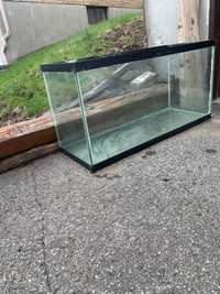 Aquarium, 90 Gal for reptile or small rodent