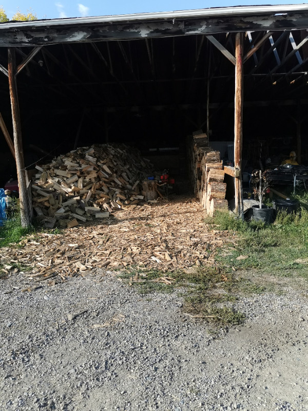 Wildwoodsman Firewood sales in BBQs & Outdoor Cooking in Calgary - Image 2