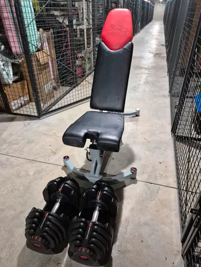 Pair of BowFlex SelectTech 1090 (10-90lbs) Adjustable Dumbbells and Bowflex adjustable weight bench....