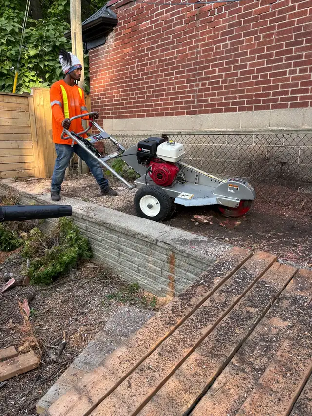 Landscaping and tree work in Lawn, Tree Maintenance & Eavestrough in City of Toronto - Image 4