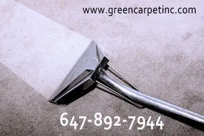 Affordable Professional Deep Steam Carpet & upholstery cleaning, View more