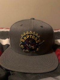 Raptors grey fitted hat