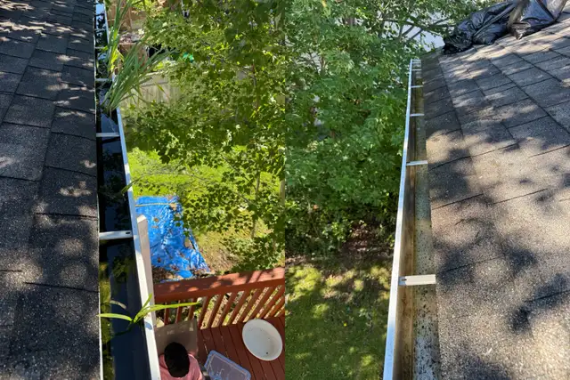 fall cleanup/ leaves removal569705120128061448