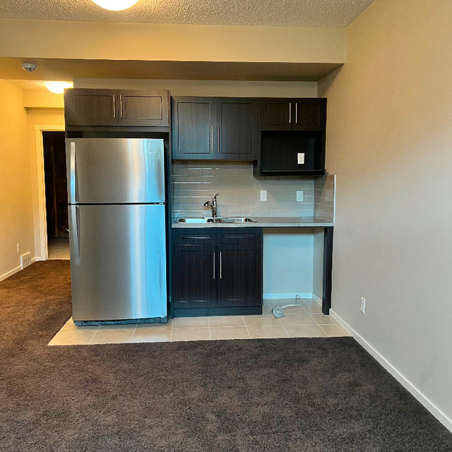 Independent basement suite one bedroom in Long Term Rentals in Calgary - Image 2
