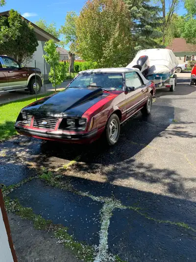 83 Mustang Convertible, up from Florida in 1990. Never winter driven. Has been a project for years....