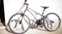 Brand New!~CCM kids bicycle 24"