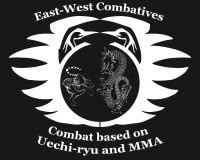 Private Lessons: MMA & Self-defence Millwoods area