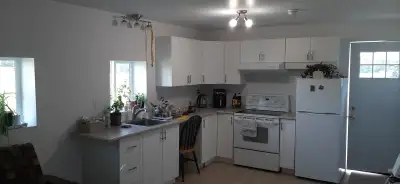 For Rent: 1 bed room apartment from August 1st near Maxville