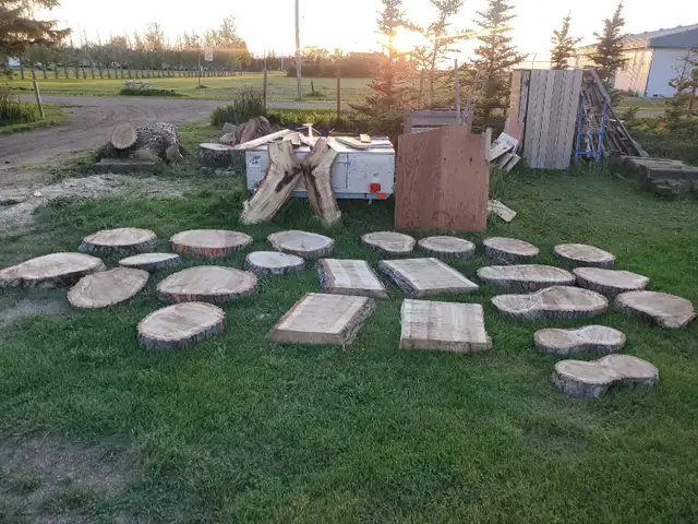 Medium & Large Raw Wood Cookie Slabs in Hobbies & Crafts in Regina - Image 5