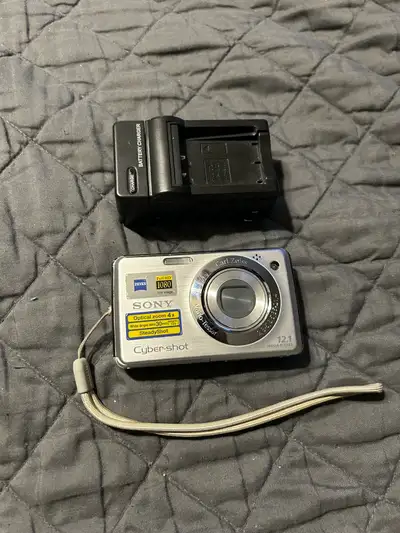 Sony Cyber-Shot DSC-W210 Digital Camera 12.1MP 4x Zoom Silver, View more
