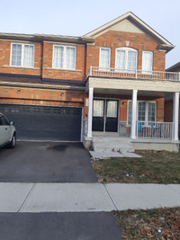 Beautiful Legal Basement with 3 bedrooms - Brown new