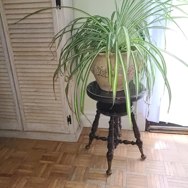 Antique, vintage piano stool in Arts & Collectibles in Ottawa