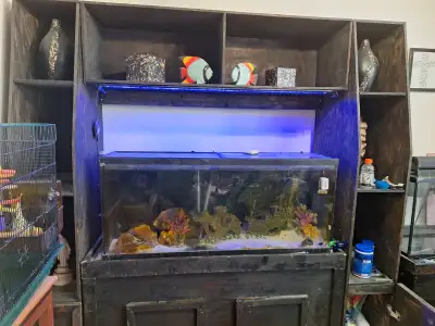 Aquarium Stand, View more