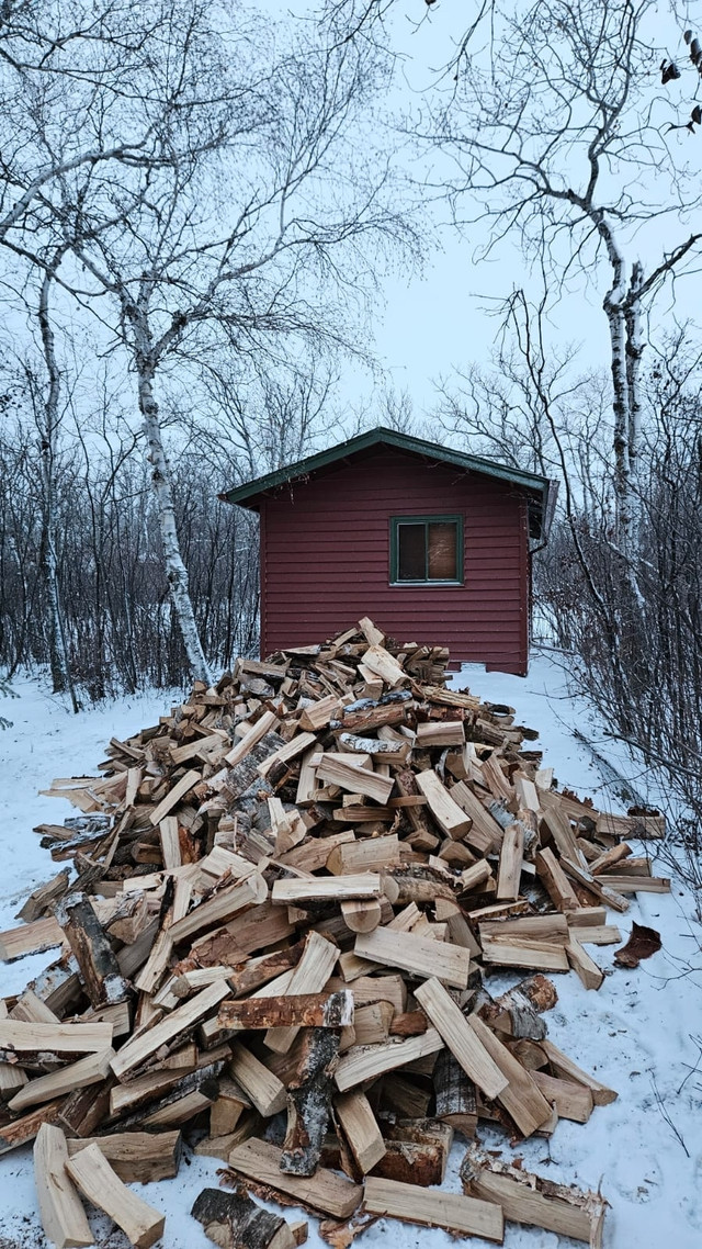 Firewood for sale  in Fireplace & Firewood in Winnipeg - Image 2