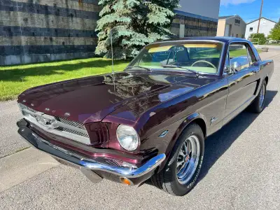 Early 1965 Mustang coupe has the original 260 V8 was within first three months of production in 64 ....