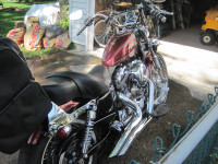 Harley Sportster Motorcycle