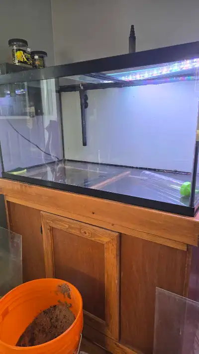 40 gallon breeder setup, View more