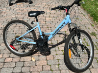 Diamondback Hardtail Youth Mountain Bike