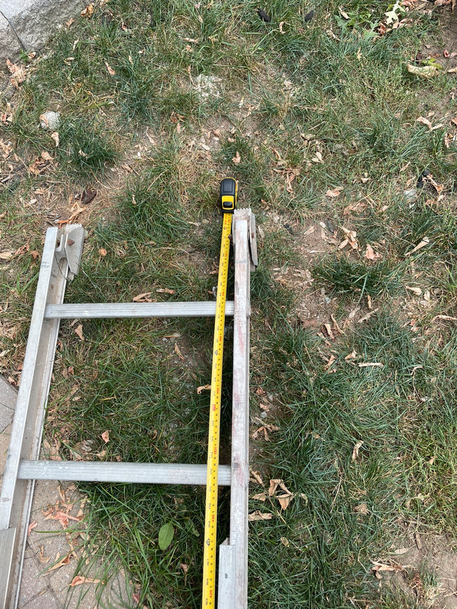 scaffold ladder