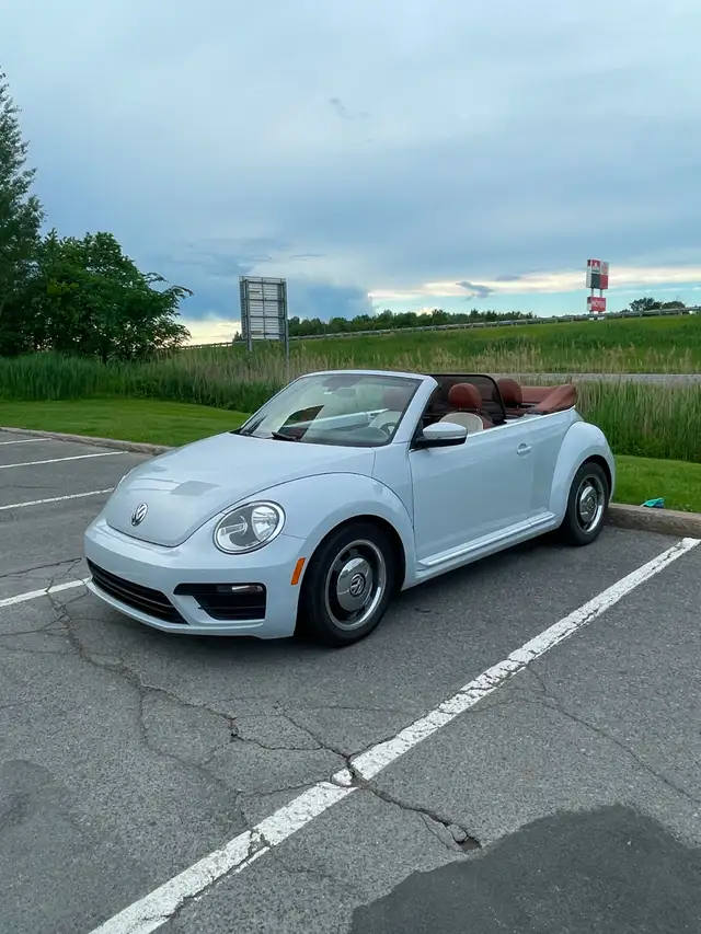 Beetle Convertible498589186529044485