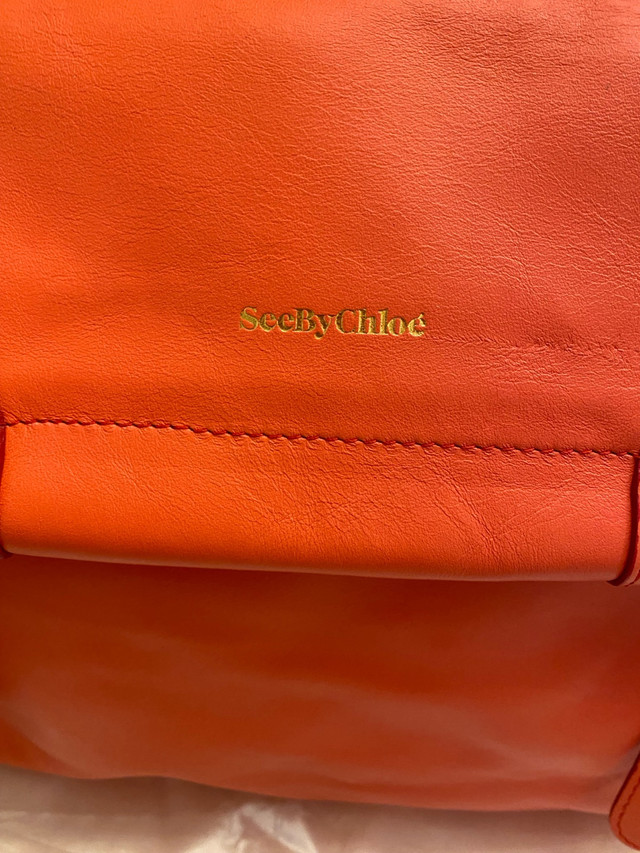 BRAND NEW- SEE by CHLOE MESSENGER STYLE CROSSBODY BAG in Women's - Bags & Wallets in City of Toronto - Image 3