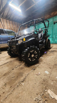 2009 Polaris RZR 800