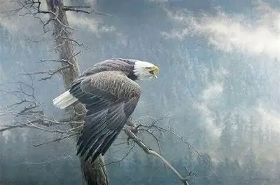 Robert Bateman Air Forest & Watch signed limited edition print, View more