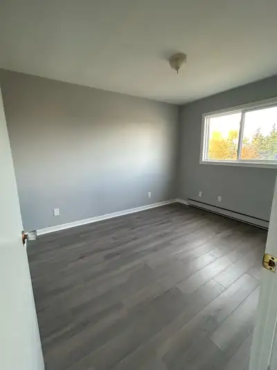 2 - Bedroom apartment, newly renovated and bright. Walking distance to the Regional Hospital. Small...