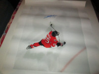 Dany Heatley Signed 36" x 28" Ottawa Senators Canvas