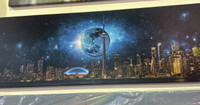 Toronto Canvas Galaxy (Brand new in store)